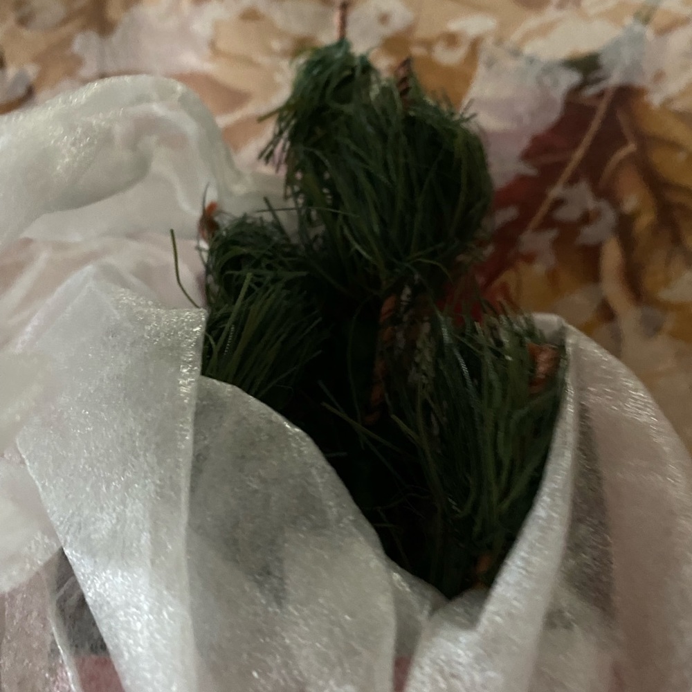 Complete’00Treasure Tree - Picture 5 of 10